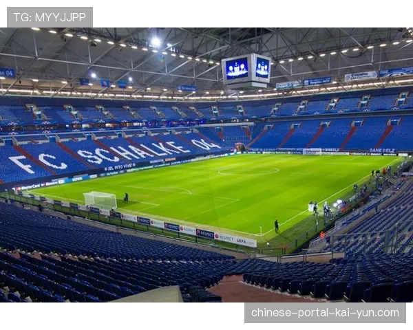 比赛中场花絮:沙尔克04球迷在费尔廷斯竞技场展示巨型TIFO致敬俱乐部历史